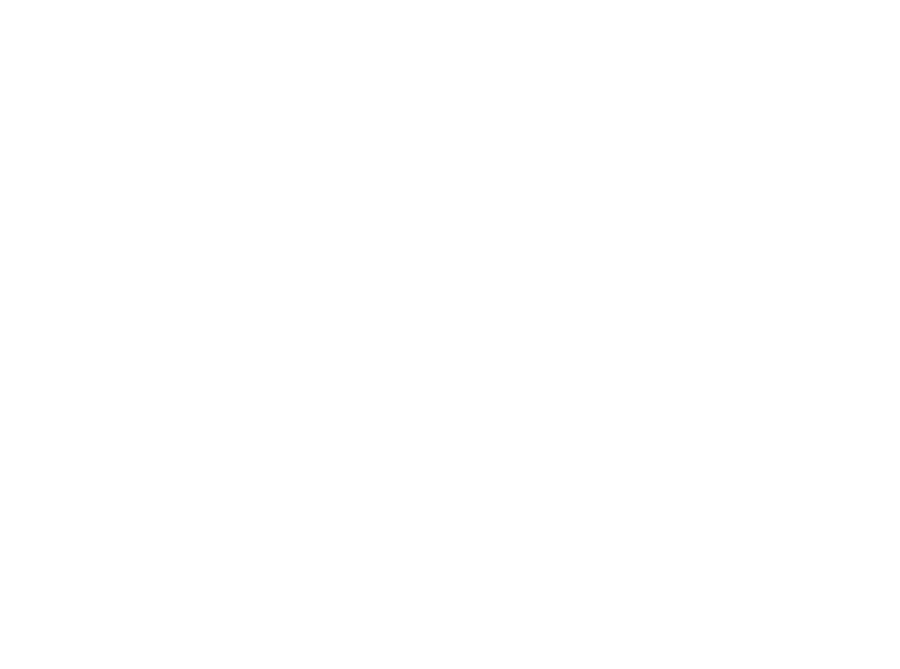 STH footer logo